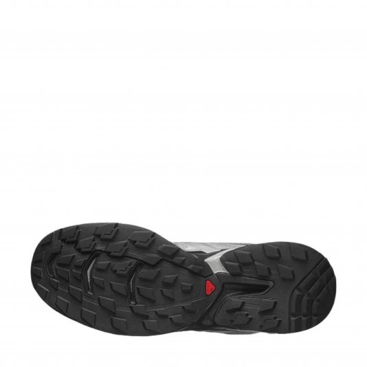 XT-Wings 2 Ghost Grey/Silver Reflective/Black