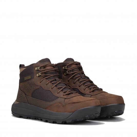 Cambert Harlan Chocolate