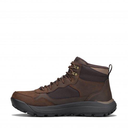 Cambert Harlan Chocolate