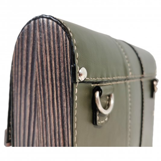 Півколо Олива