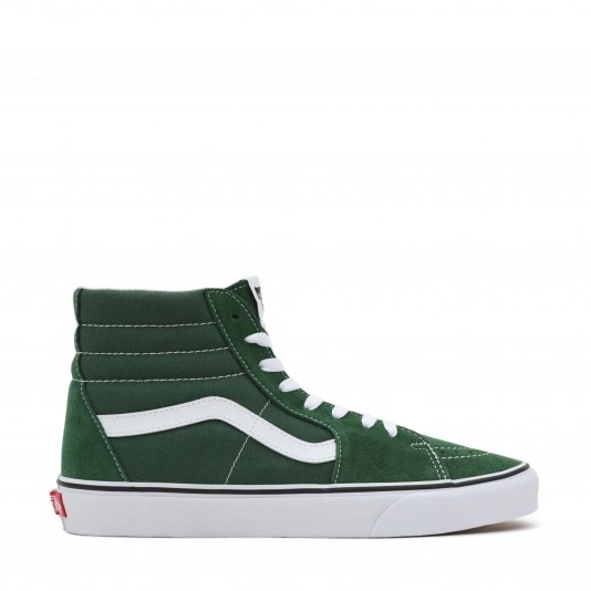 Sk8-HI Theory Greener Past