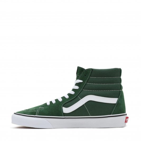 Sk8-HI Theory Greener Past
