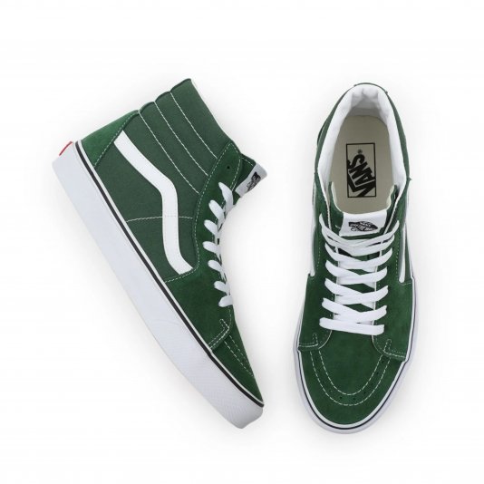 Sk8-HI Theory Greener Past